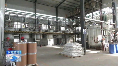 牢記囑托 乘勢而上 李哲調(diào)研城西機(jī)電化工產(chǎn)業(yè)集聚區(qū)，強(qiáng)調(diào)安全高效推動化工生產(chǎn)